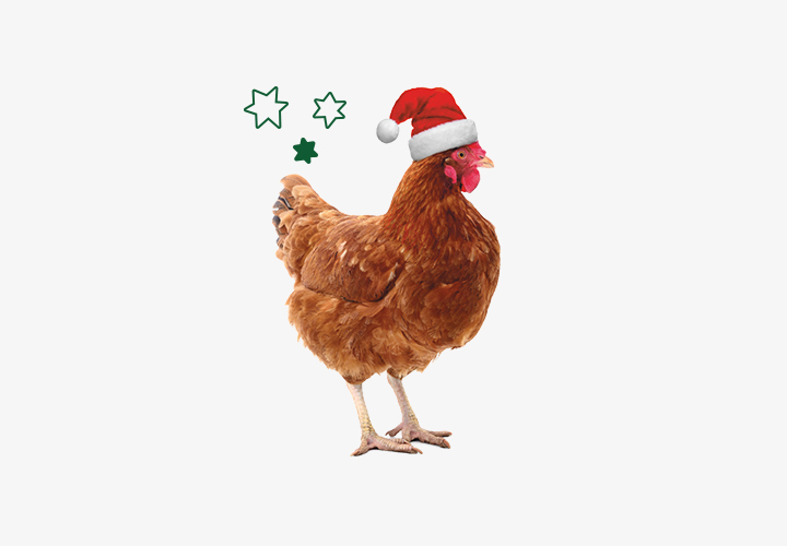 Christmas Chicken