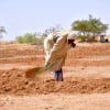 Cash for Work-Land restoration work in the village of Dan Tounou, Niger. (Photo: Concern Worldwide)