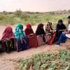 Concern team with a women's permagarden group discussing the impact of Hanaano project and expected results. Photo: Abdinasir Hassan/ Lifeline Gedo.