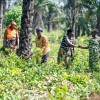 Rugiatu Kamara (second from the right) works on a shared plot with members of her farmers' group in northern Sierra Leone. Photo: Eugene Ikua/Concern Worldwide