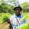 Mbokilo harvests amaranth at the farming site. Supported by Irish Aid, farmers recieve training in climate-smart agriculture, access to seeds and tools, and promoting nutritional health to enhance food security and resilience against climate shocks. Photo: Mussa Uwitonze/Arete/Concern Worldwide.