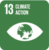 The Climate Action symbol of the Sustainable Developmental Goals