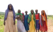 Women working in a field in Doroti Village, Chad. Photo: Lucy Bloxham / Concern Worldwide.