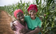 Esime Jenaia, a Lead Farmer for conservation Agriculture, at her plot in Chituke village, Mangochi, Malawi, with neighbour Esnart Kasimu. Photo: Kieran McConville / Concern Worldwide.