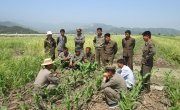 Farmers taking part in field training in Kangwon Province. Photo: Concern Worldwide.