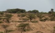 The harsh, arid landscape between Hargeisa and Borama.
