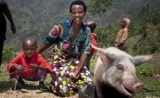 Violette Bukeyeneza (45) and her son Lievain Irankunda 3 (M) with the pig she has bought from the profits of her business at her home in Bukinanyana, Cibitoke, Burundi.Photo: Abbie Trayler-Smith / Concern Worldwide.