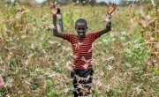 A farmer's son raises his arms as he is surrounded by desert locusts while trying to chase them away from his crops, in Katitika village, Kitui county, Kenya. Credit: Ben Curtis/AP/Shutterstock