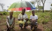Members of the Concern-supported seed multiplication group at Paybos - Caroline Yali (who's Olivier's wife), Emmanuella Mobutou and Gertrude Yassibio. Emmanuella is holding Gertrude's baby son Christopher. The women have been cultivating crops in the field they share.
