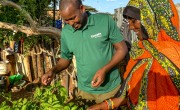 Concern has supported Iladho to grow a healthy and varied kitchen garden in Chalbi desert in Northern Kenya.