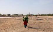 A woman carries her baby through the dusty landscape of Sindh province, Pakistan
