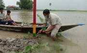 People use a flood level indicator to anticipate flood danger levels