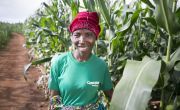 Esime Jenaia, a Lead Farmer for conservation Agriculture, at her plot in Chituke village, Mangochi, Malawi