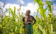 Female farmer in Malawi surrounded by crops