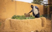 Boubarcar Abdulaye, a Concern staff member, tends to keyhole garden surrounded by clay walls