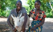 Farmer Ussein and his wife Emma holding goat 