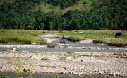 Fording the Fer à Cheval at low ebb, Haiti. Photo: Kieran McConville/Concern Worldwide