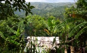 A rented home on a mango plantation in the Centre department of Haiti. Photo: Kieran McConville/Concern Worldwide