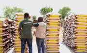 Concern staff checking and unloading produce for the distribution of food in Burkina Faso.