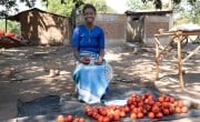 Gertrude Short (35) sells her tomatoes. Gertrude and her family live in Rodreck 2 village, Chikwawa District. (Photo: Chris Gagnon/Concern Worldwide)