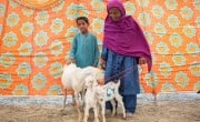 Khairi (80) resident of Nawabshah, Sindh with her grandson at a goat market facilitated by Concern Worldwide. This intervention aims to help vulnerable women from flood affected areas develop a sustainable economical future via obtaining an asset (goat) that belongs solely to them. (Photo: Khaula Jamil/DEC)