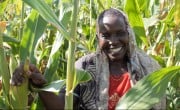 Jane, a farmer in Kenya in her crop field