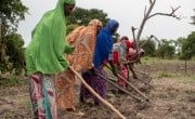 Refugees from Central African Republic work on a community farm near Wedweil displacement site, South Sudan. (Photo: Jon Hozier-Byrne / Concern Worldwide)