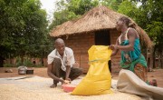 Since partaking in the Umodzi gender program, Forty helps his wife Chrissy with household chores like drying maize. Photo: Chris Gagnon/Concern Worldwide