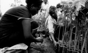 A Concern-led agriculture project in Ethiopia, 1989. (Photo: Concern Worldwide)