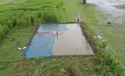 As soon as the water begins to recede, farmers spread Aman seeds across their designated plots for germination. To protect the seeds from birds, they cover the plots with nets. Photo: Saikat Mojumder/Concern Worldwide