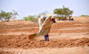 Cash for Work-Land restoration work in the village of Dan Tounou, Niger. (Photo: Concern Worldwide)