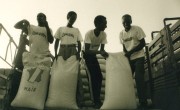 An emergency food distribution in Rwanda, 1995.