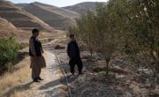 Two farmers in Afganistan stand beside trees growing in the newly irrigated land surrounding their village.