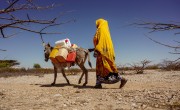 Mako Nur Huseein with her donkey in Somaliland