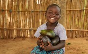 Steven Alexander (3) holds avocados grown from a tree provided by Concern's Food Systems for Food Security programme. As well as the avocado trees, Steven's parents Memory and Alexander received three pigs, which provide a vital financial lifeline, as well as critical nutritional training to ensure Steven grows up with a varied diet. Photo: Jon Hozier-Byrne/Concern Worldwide
