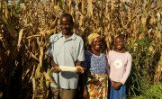Phillias Vickisensio (58), Floria Phillias (56) and Naomi Frank (24) hold some maize at Model maize farm, Maganga Village. As part of Concern's Food Systems for Food Security programme, Phillias has not only received enough seed to get his farm started, but has also been taught pioneering agricultural techniques that have resulted in a bumper crop. Photo: Jon Hozier-Byrne/Concern Worldwide