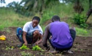 Isha Turay (23) is a mother of two boys. Through the Yoti Yoti programme, she has move from struggling with casual farm work to building a more stable future. Photo: Eugene Ikua/Concern Worldwide