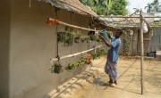 Sayed and his wife Farija are receivers of Concern’s training support on nutrition, home gardening and seeds production for better nutritious life and livelihood in Cox's Bazar. Photo: Saikat Mojumder/Concern Worldwide.
