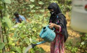 Sayed and his wife Farija are receivers of Concern’s training support on nutrition, home gardening and seeds production for better nutritious life and livelihood in Cox's Bazar. Photo: Saikat Mojumder/Concern Worldwide.