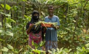 Sayed and his wife Farija are receivers of Concern’s training support on nutrition, home gardening and seeds production for better nutritious life and livelihood in Cox's Bazar. Photo: Saikat Mojumder/Concern Worldwide.