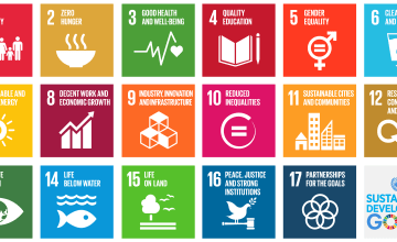 The UN Sustainable Development Goals.