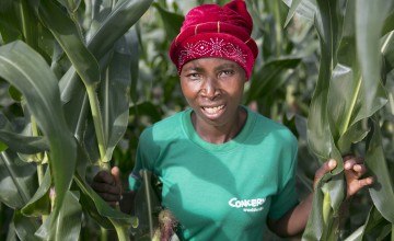 Esime Jenaia, a Lead Farmer for conservation Agriculture, at her plot in Chituke village, Mangochi, Malawi. Concern has been carrying out Conservation Agriculture programming in Malawi since 2012, with the assistance of Accenture Ireland. Photo: Kieran McConville / Concern Worldwide.