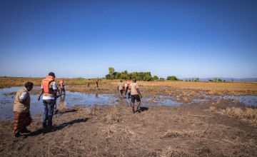 Concern staff wade through water logged fields destroyed by flooding. Just one month ago, these fields were almost ready to harvest with a rich supply of maize. Photo: Gavin Douglas/ Concern Worldwide.