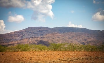 Drought in Turkana county is drying up pastures for livestock to graze on. Photo: Gavin Douglas / Concern Worldwide.