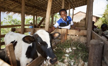 Violette Bukeyeneza with her cow. Photo: Abbie Trayler-Smith / Concern Worldwide.