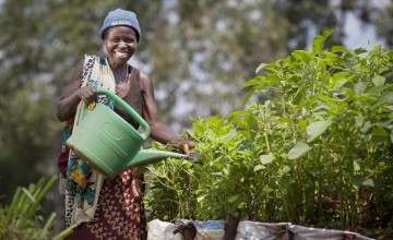 Euphemia Inina waters her market garden at her home in Mabayi, Cibitoke. Photo: Abbie Trayler-Smith / Concern Worldwide.