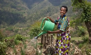 Violette Bukeyeneza watering her home garden at her home in Bukinanyana, Cibitoke. Photo: Abbie Trayler-Smith / Concern Worldwide.