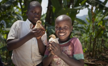 Kevin Niyomuhoza (6) and Olivier Iranyumviye (10) with their chickens. Photo: Abbie Trayler-Smith / Concern Worldwide.