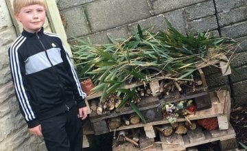 Sam Murphy (9) from Cobh Cork who built an insect hotel as part of Concern Worldwide's new home-schooling 17  Days to Learn challenge. Photo: Concern WOrldwide.
