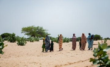 Local community members crossing the baron landscape of the Lake Chad region. 